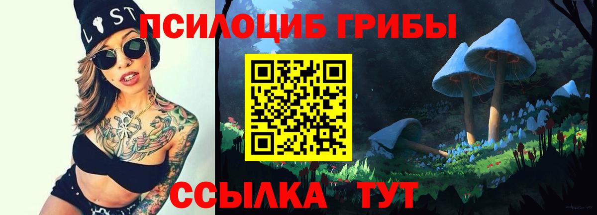 Псилоцибиновые грибы мухоморы  Вход с VPN  как найти закладки  Печора 
